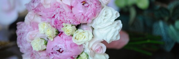 MCDeisy Profile Banner