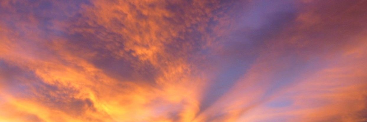 shiavio's profile banner image