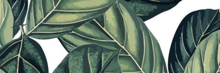 karolinazazula's profile banner image