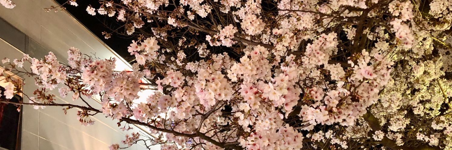 下田幸二🐕🇵🇱🇺🇦 banner