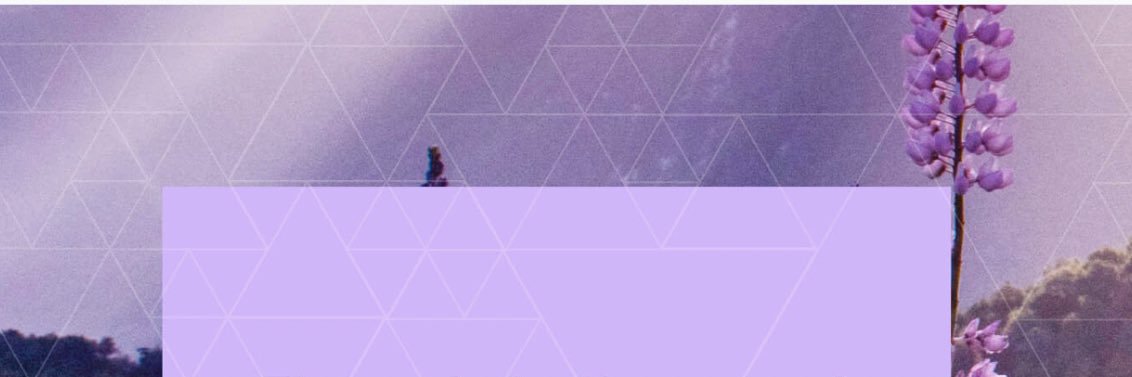 Haffoly's profile banner image
