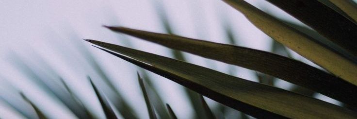 berlingbrl's profile banner image
