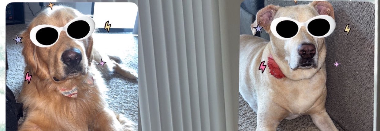 Reine_Joycee's profile banner image