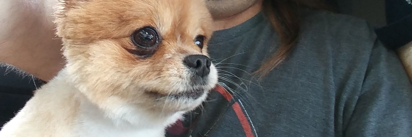 bacchustydral's profile banner image