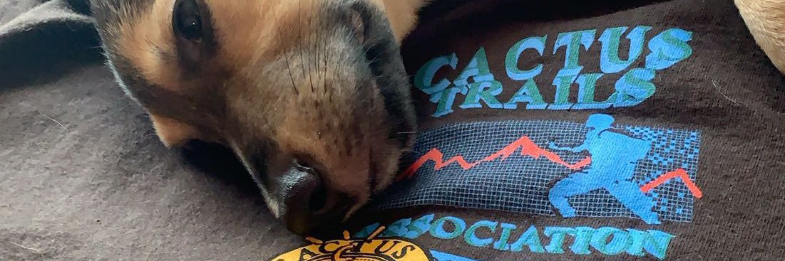 MarloCharlie's profile banner image