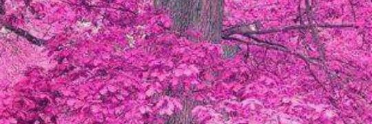eri_alvar's profile banner image