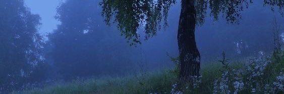 pooja 🌈 banner