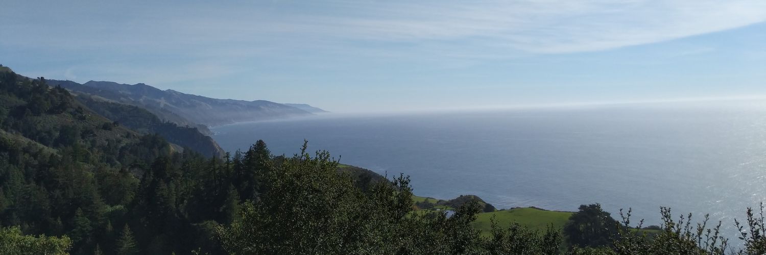 rosarinjroy's profile banner image