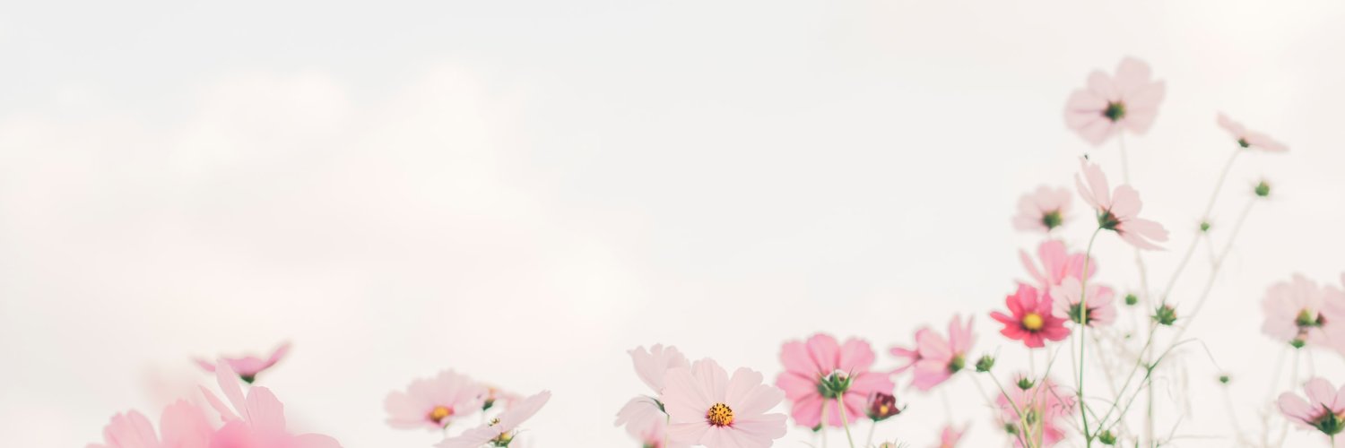 ethnogal's profile banner image