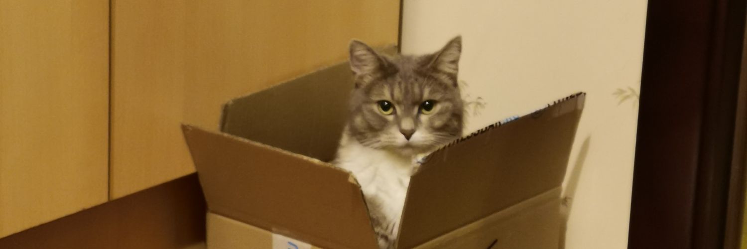 Аше✨НЕТ ВОЙНЕ banner