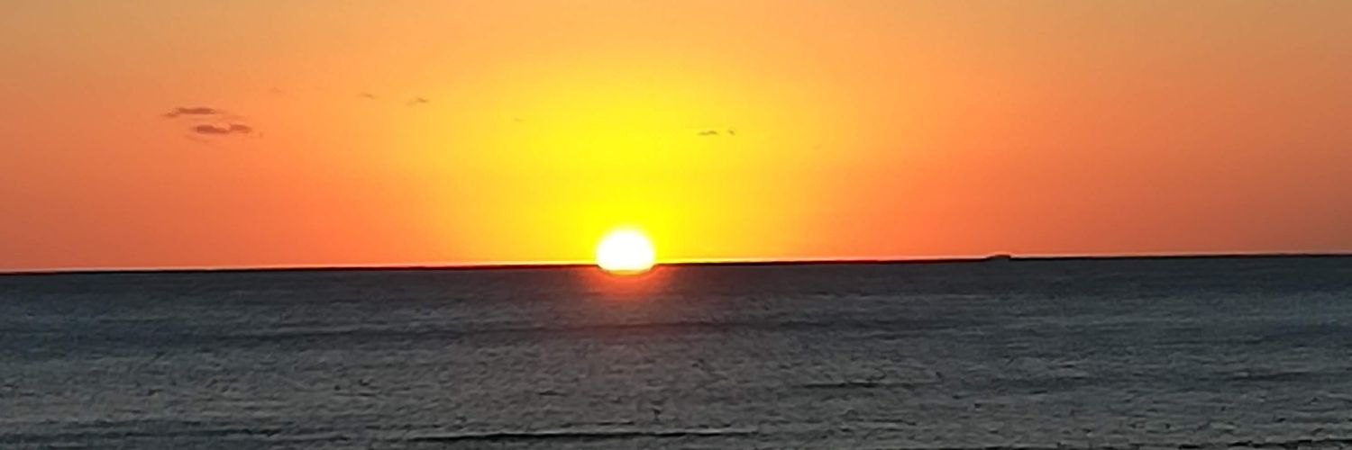 bartavias's profile banner image