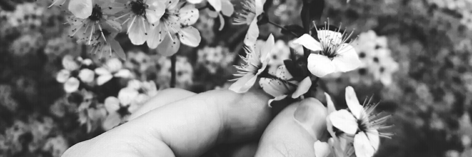 Moonwalkingbae's profile banner image