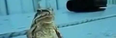 FMedinalopez's profile banner image