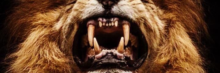 AAundres's profile banner image