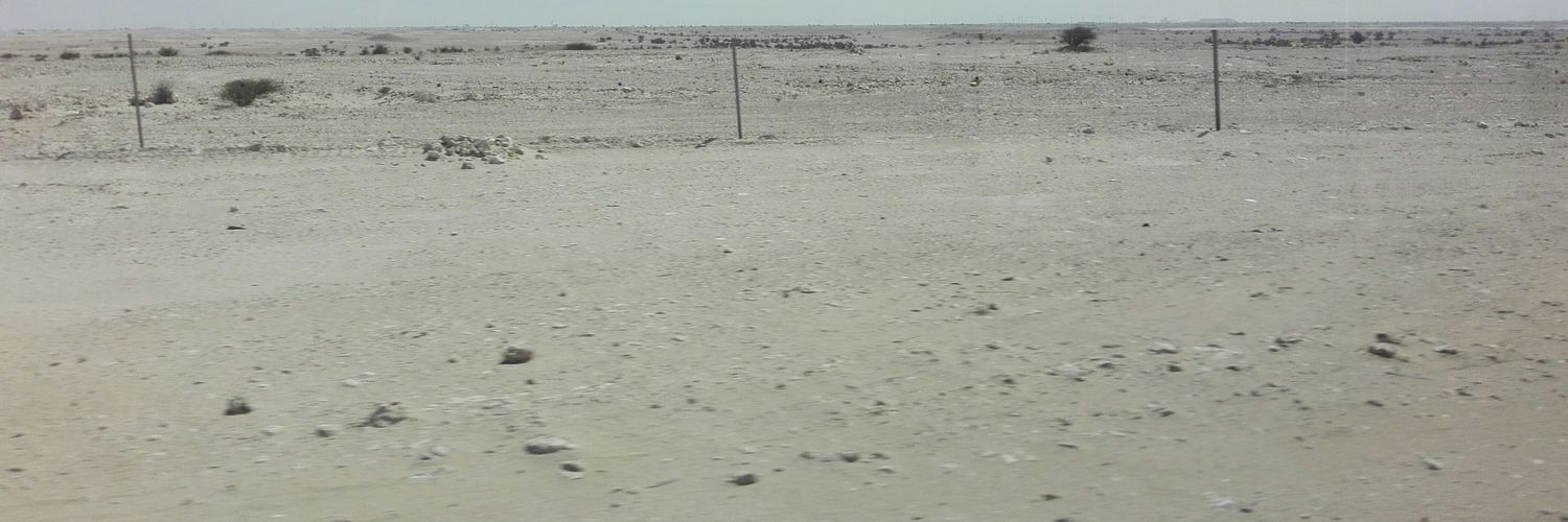 davewere's profile banner image