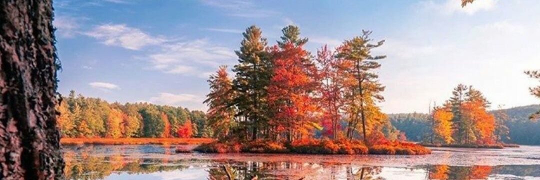 April_in_NJ's profile banner image