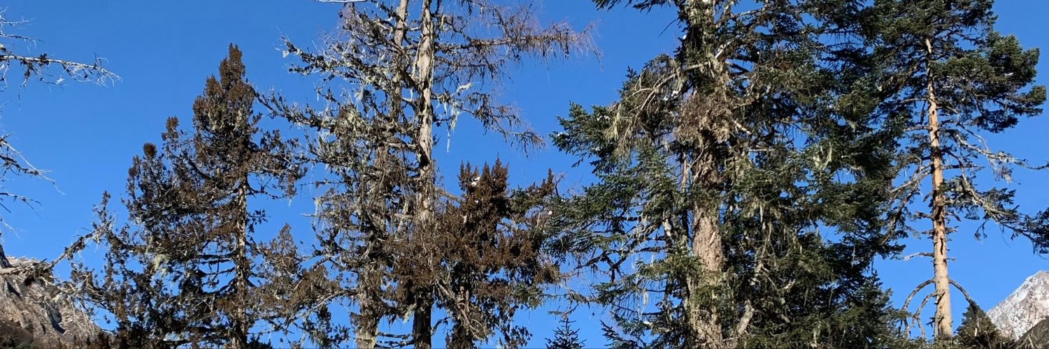 unarticulate's profile banner image