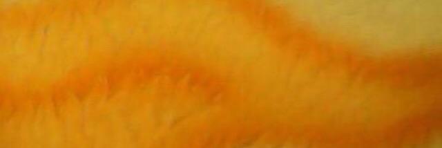 SZ3438's profile banner image