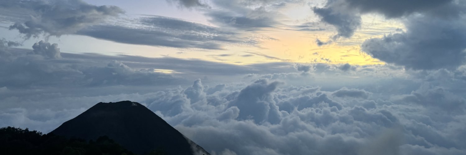 aaliarr_'s profile banner image