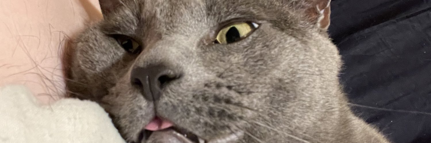nobodyreal101's profile banner image