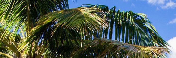 avajt71's profile banner image