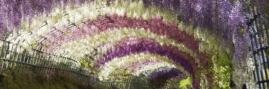 MusicBeaches's profile banner image