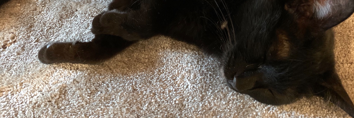 和氣愛仁🎺🌿🐈‍⬛🐈‍⬛ banner