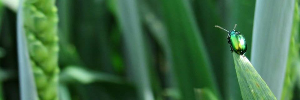 erikadegani's profile banner image