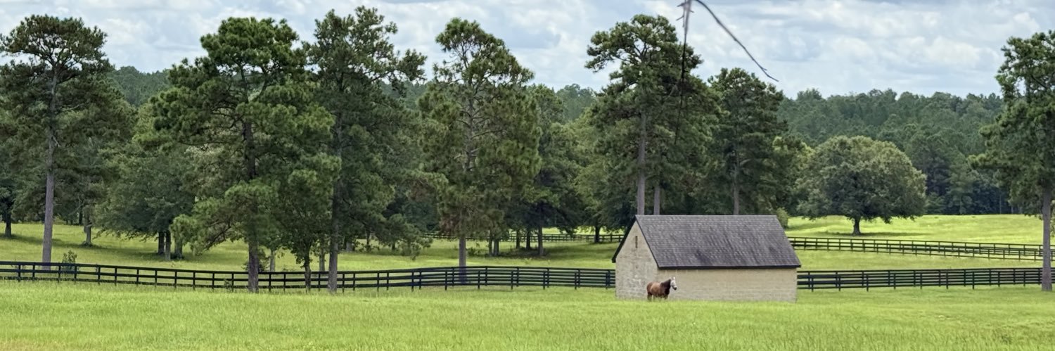 Eventing_Chic's profile banner image