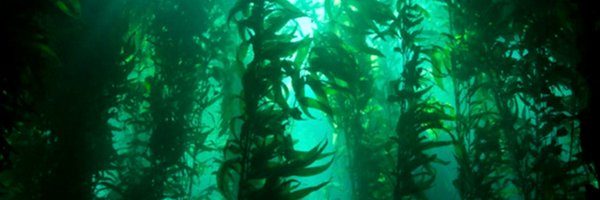 AkeishaRoberts Profile Banner