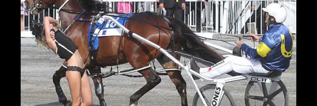 TrotsChick's profile banner image