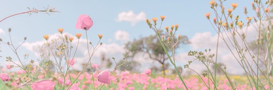 ashbash_7's profile banner image