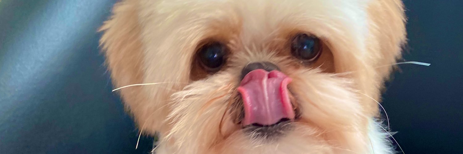 B_Doutel's profile banner image