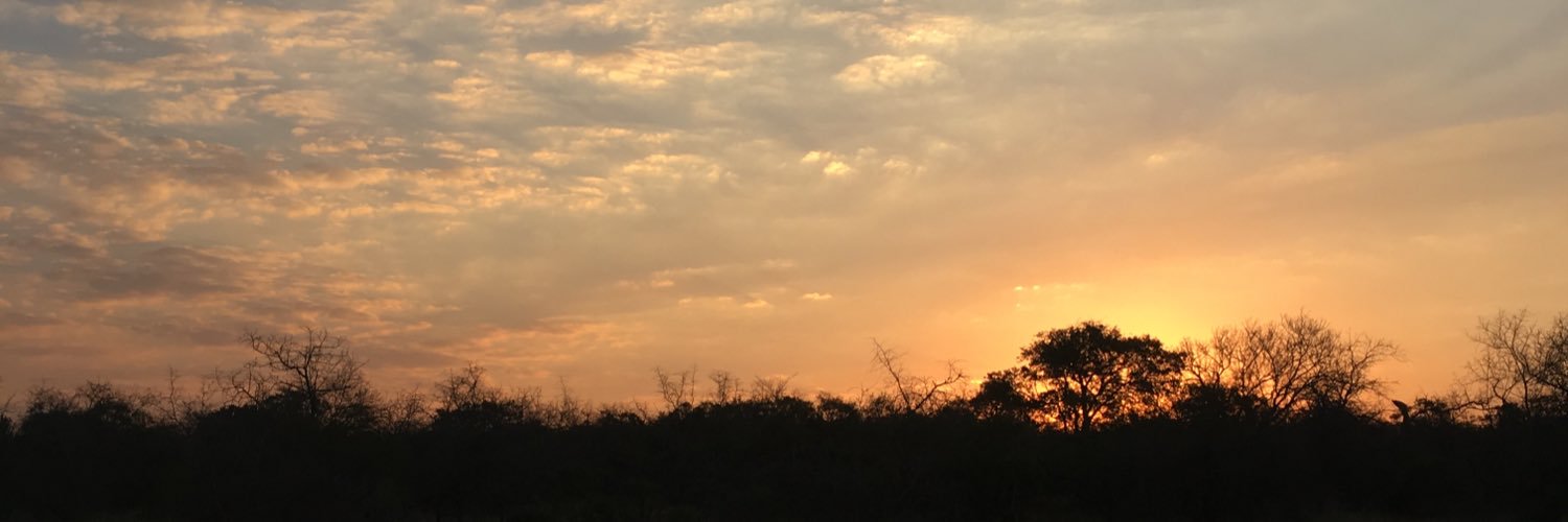 jesscrathern's profile banner image