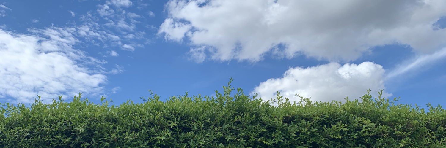 mayjuji's profile banner image