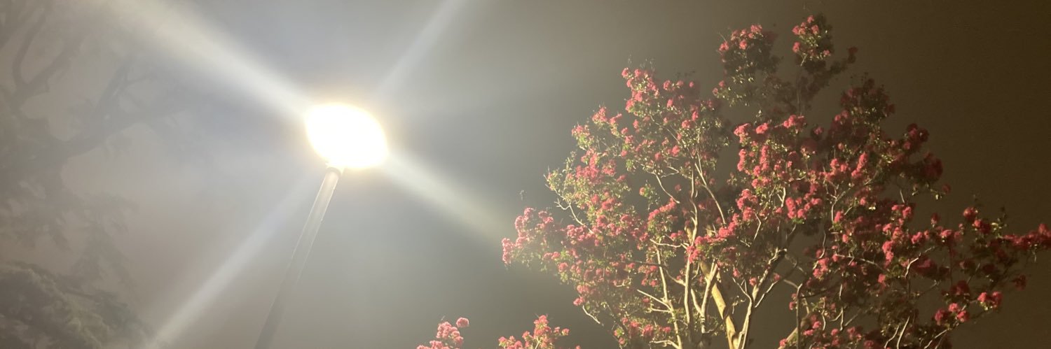ao96_k's profile banner image