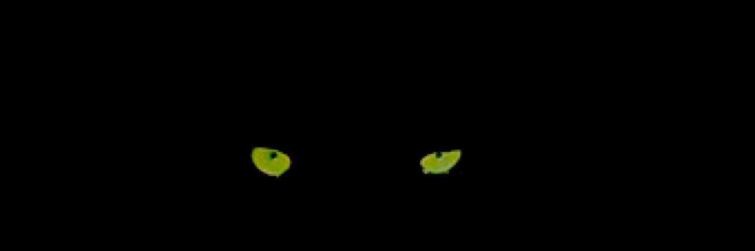 deehilllll's profile banner image