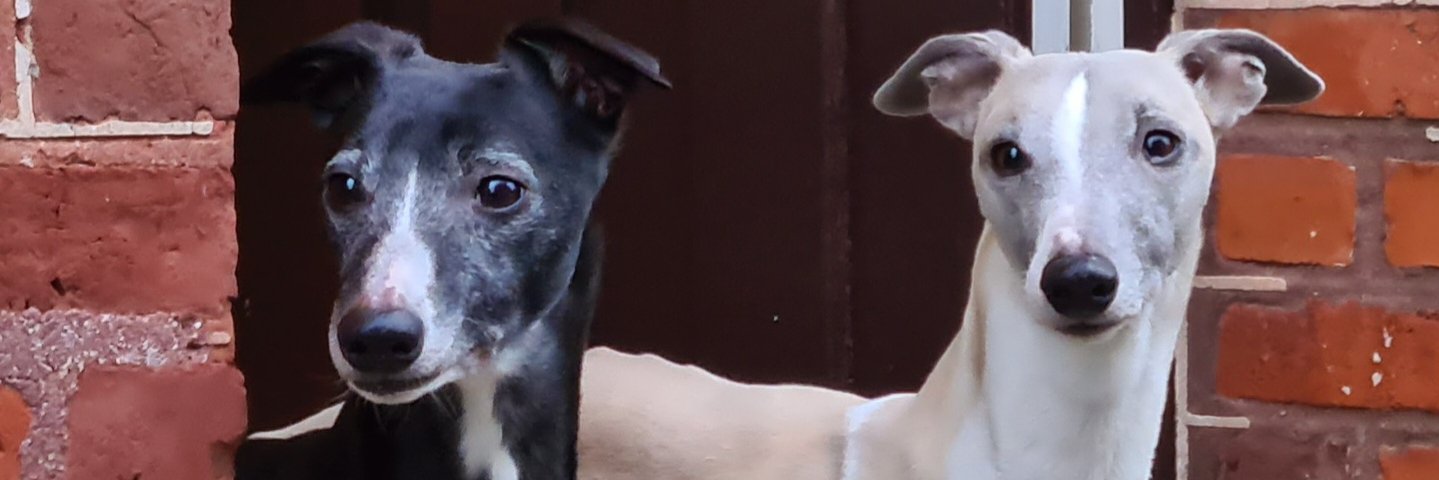 StephanHeuschen's profile banner image