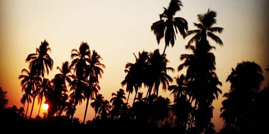 enecampos's profile banner image