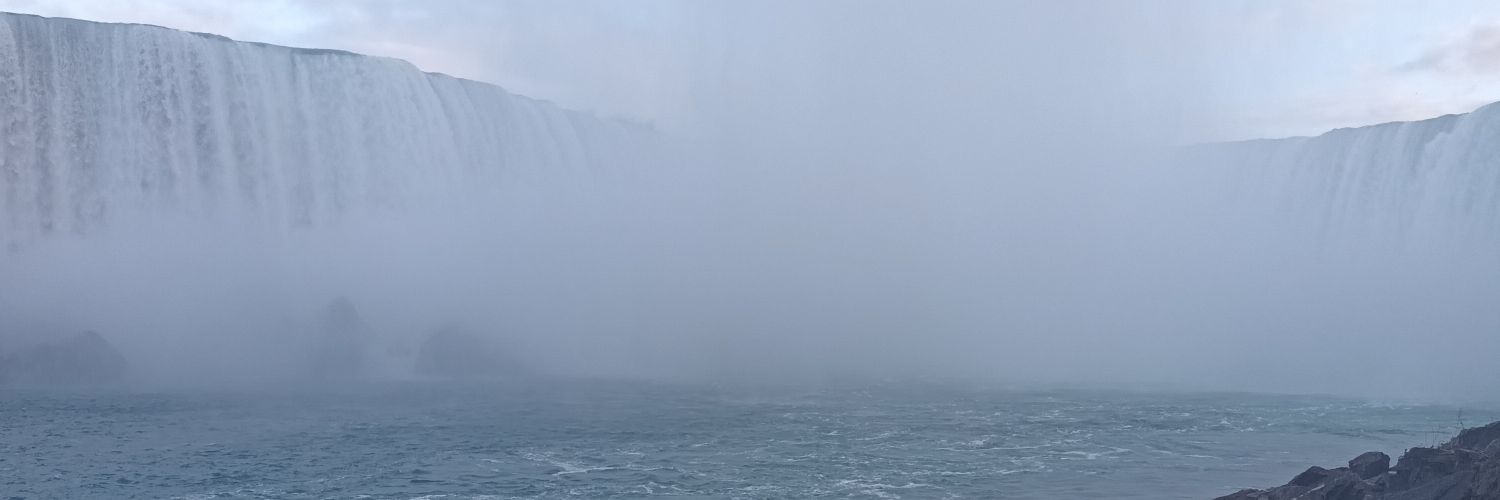 davidgachuki's profile banner image