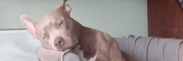 johntoendang Profile Banner