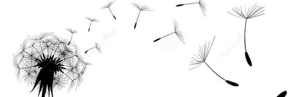 niick_xaba's profile banner image