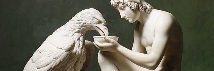 CrisMascioli's profile banner image