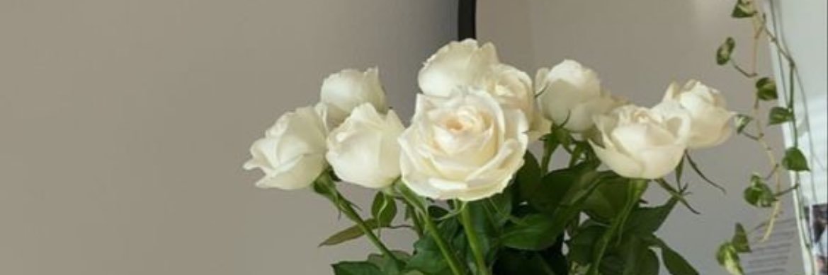 camzash's profile banner image