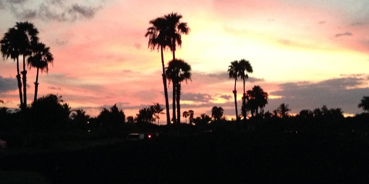 Ashley Campbell banner