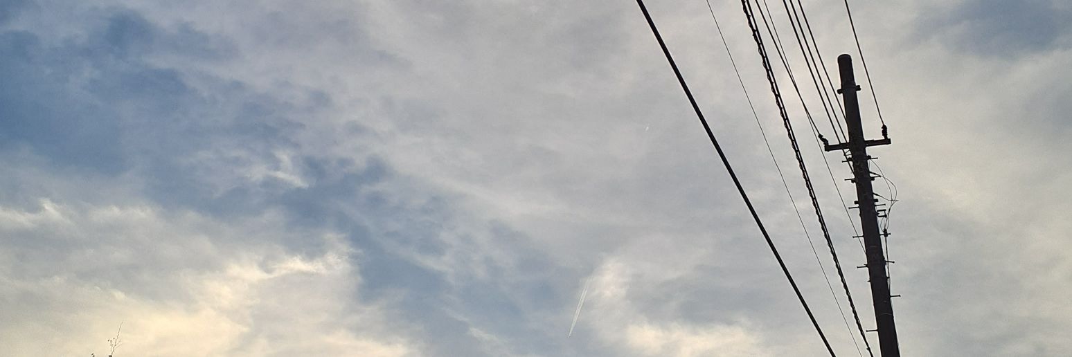 岡部涼音(okabe suzune) banner