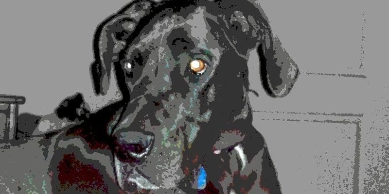 jamiesmith3375's profile banner image
