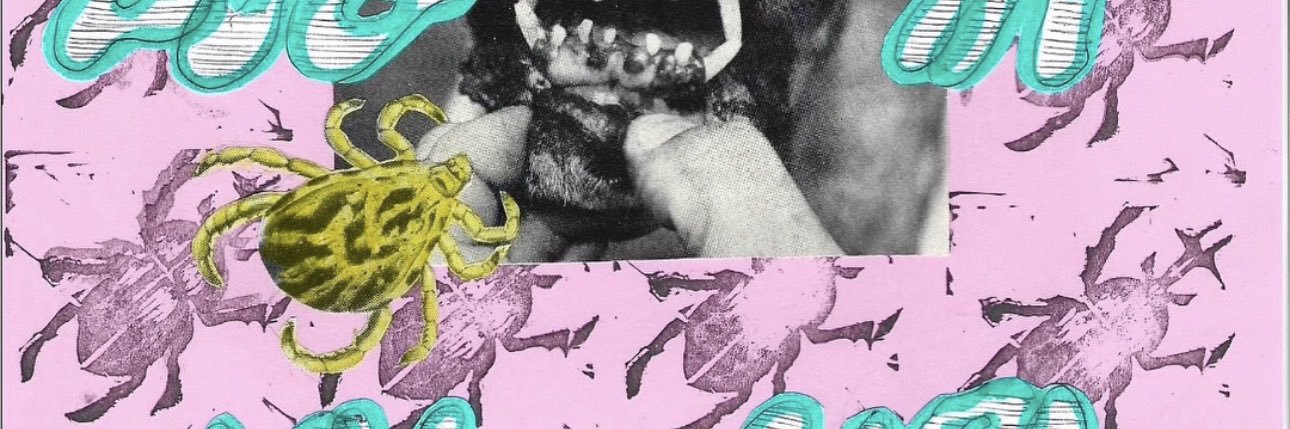 xenomorphbf's profile banner image