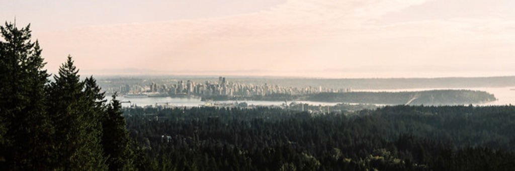 S_Potter_'s profile banner image