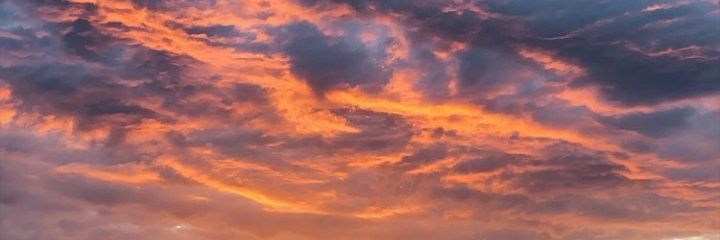 srtaraky's profile banner image
